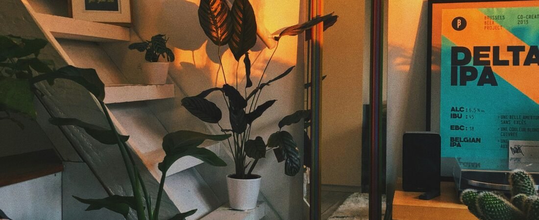 🏡 Affordable Home Decor: Transform Your Space Beautifully on a Budget 2025